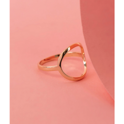 Bague anneau